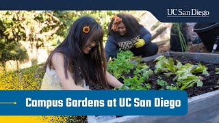 Campus Gardens at UC San Diego [upl. by Suhsoj]