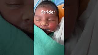 Stridor in newborn  Shorts  neonatology nicu neonates [upl. by Ariahs]