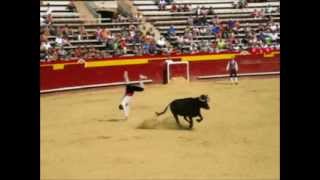 Highlights of the Bull Olympics quotRecortesquot  Rings High Jump Pole Vault and Motorcycles [upl. by Nerb]