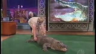 Jay Leno almost bitten by Alligator  Steve Irwin 2002 [upl. by Sivia863]