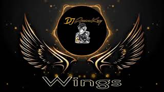 Birdy  Wings Remix DJ AmonKey [upl. by Channa]