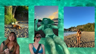 maui vlogs day with lauren  breakfast snorkel sunset [upl. by Llebiram]