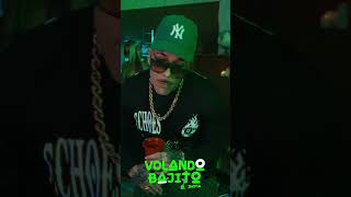 El Jhota Volando Bajito music [upl. by Richara660]