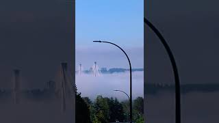 Wow，Port Mann Bridge is covered in fog Vancouver traveltravel vancouvertravels shorts [upl. by Yrrag]