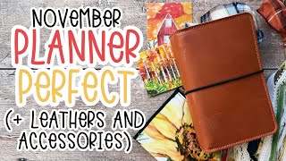 PLANNER PERFECT November Set Up amp Accessories  TayloredPlan amp Odd Girl Hauls [upl. by Porte982]