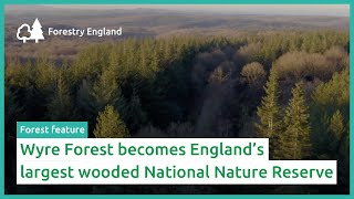 Wyre Forest becomes largest woodland National Nature Reserve [upl. by Bonita]