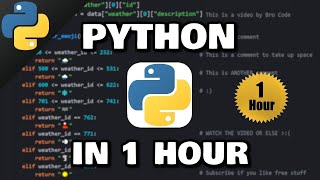 Learn Python in 1 hour 🐍 2024 [upl. by Nanji]