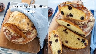 PANE FATTO IN CASA RICETTA FACILE SENZA IMPASTO Pane con olive  Chiarapassion [upl. by Oinotnas]