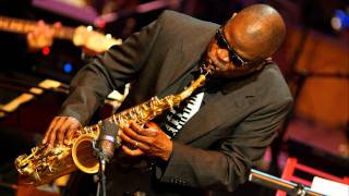 Maceo Parker plays Lets Get It On  remastered with adobe audition [upl. by Yebot]