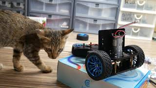 Open source Robot car Raspberry Pi 3 WIFI Smart Car Kit  Adeept [upl. by Torto]