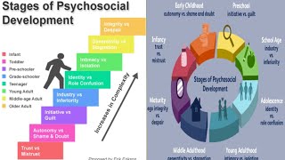 Erik Eriksons Stages of Psychosocial Development [upl. by Rella]