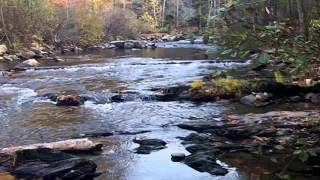 Citico Creek November 4 2012 [upl. by Tamah]