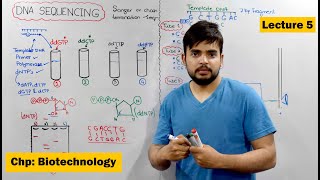 DNA Sequencing  Sanger or chain Termination Vs automated DNA sequencing  Video 5 [upl. by Ymia]