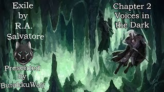 Exile  Chapter 2 Voice in the Dark The Dark Elf Trilogy Book Two [upl. by Petrie]