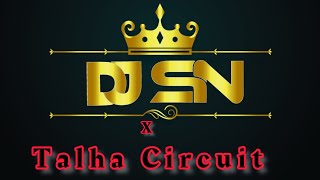 Alok amp Alan Walker  Headlights Talha Circuit x DJ S💀N  Dance Remix ♚ KING  Club Remix 2k24 [upl. by Roper]