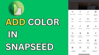 How to Add Colors in Snapseed 2024 [upl. by Latia]