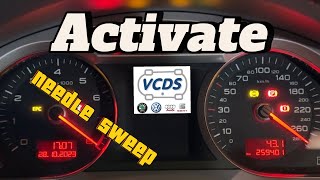 VCDS Activate NEEDLE SWEEP  VW AUDI SKODA SEAT  In under 2 MINUTES [upl. by Yekcaj]