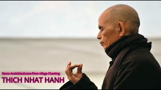 Namo Avalokiteshvara  Plum village Chanting  THICH NHAT HANH [upl. by Bremser]