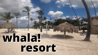 Boca Chica Resort Tour  whala [upl. by Radke]