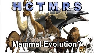 How Creationism Taught Me Real Science 64 Mammal Evolution [upl. by Vasili]