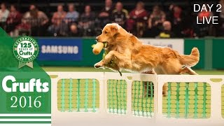 Day 2 Live  Crufts 2016 [upl. by Inaleon261]