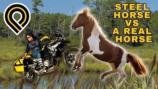 Chincoteague Where Wild Horses Meet Steel Horses [upl. by Hagan]