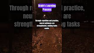 Brain Learning Process facts psychology motivation psychologyfacts psychologytopics quotes [upl. by Dalpe]