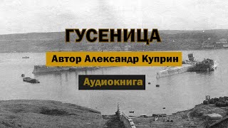 Гусеница АКуприн Аудиокнига аудиокнига аудиокниги куприн роман рассказ бесплатно [upl. by Amsab652]