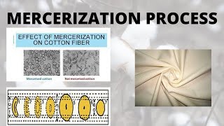 Mercerization process  mercerizing process in textile  mercerization process of cotton fabric [upl. by Bodkin]