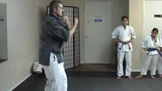 Okinawa Goshukan Karate [upl. by Enoyrt]