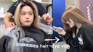 澳洲留学生染发Vlog  Hair Transformation Vlog  Dye my damaged bleached hair back to black [upl. by Suirtimid397]