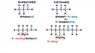 Carbonyl Compounds [upl. by Kalb286]