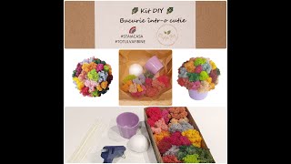 Kit DIY cu licheni decorativi [upl. by Enelie]