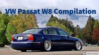 Volkswagen Passat W8 Compilation 🔥 [upl. by Budd]