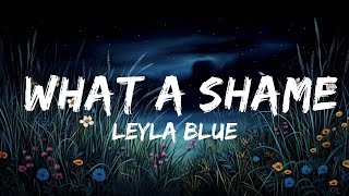 Leyla Blue  What A Shame Lyrics  What a shame baby what a shame  Lyrics World [upl. by Ocirederf]