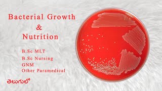 Bacterial Growth And Nutrition  Microbiology [upl. by Mukund]