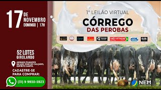 ✅ 1° LEILÃO VIRTUAL CÓRREGO DAS PEROBAS  1711 às 1730 [upl. by Tamberg]