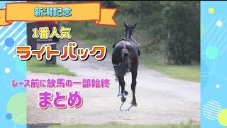 【新潟記念】ライトバックの放馬一部始終をまとめました【ハミ外れ暴走】 [upl. by Ecinaj]