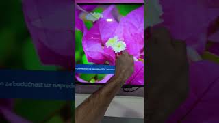 Philips 43PUS811812 4K Ambilight 2023 TV screen protection peel of satisfying [upl. by Hallee137]