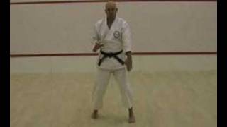 Seishan Kata Bunkai example  Sensei Mick Bayliss [upl. by Ainoval]