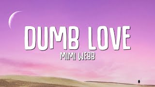 Mimi Webb  Dumb Love Lyrics [upl. by Ransom229]