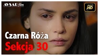 Czarna Róża  Sekcja 30 [upl. by Yesrod597]