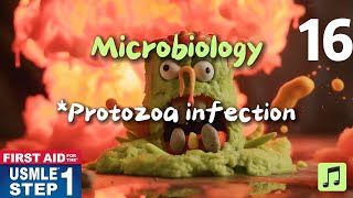 USMLE  First Aid Step 1 Microbiology Protozoa infection usmlestep1videos usmlestep1 [upl. by Eniksre]