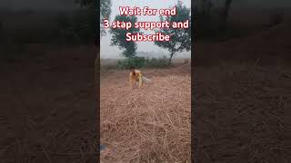 Rajbha G rest time playing rajbharking rajbharg viralshort viralreelsfacebook viralvideochallen [upl. by Derick]