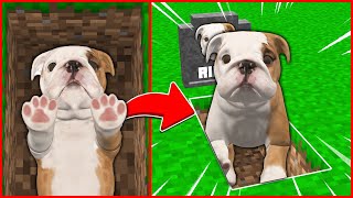 EFEKANIN KÖPEĞİ RIFKI CANLANDI MEZARDAN ÇIKTI 😱  Minecraft ZENGİN FAKİR HAYATI [upl. by Beaulieu]