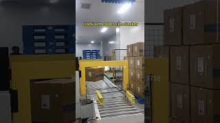 Crank arm robot palletizing boxBoxpalletizing [upl. by Anaiad]