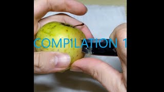 ASMR SERIES COMPILATION 1 [upl. by Amadus]