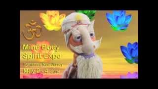 Mind Body Spirit Expo May 24 2014 Somerset New Jersey [upl. by Ybbed]