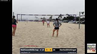 HartwellGillinger vs MathisonMillichap 20241123 [upl. by Smart]