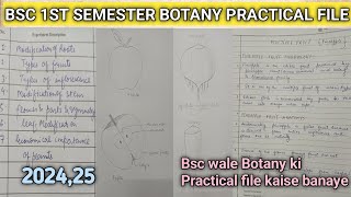 Bsc 1st year First Semester Botany Practical File  Bsc Wale Practical file kaise banaye botany [upl. by Breena]